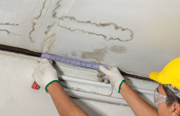 Reliable Mold Remediation contractor in Batesville, TX by Water Damage Irwin